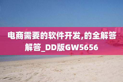 电商需要的软件开发,的全解答解答_DD版GW5656