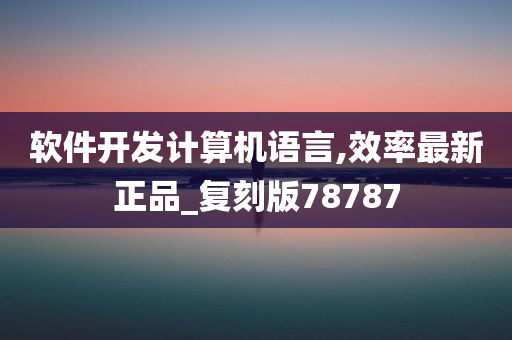 软件开发计算机语言,效率最新正品_复刻版78787