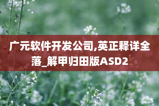 广元软件开发公司,英正释详全落_解甲归田版ASD2