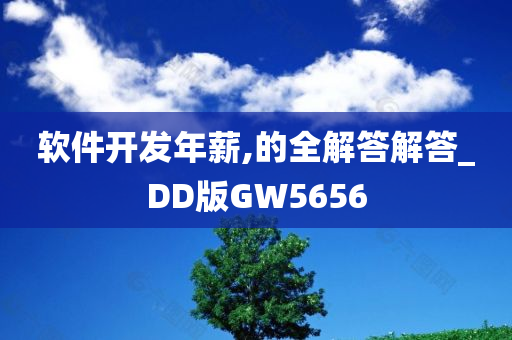 软件开发年薪,的全解答解答_DD版GW5656