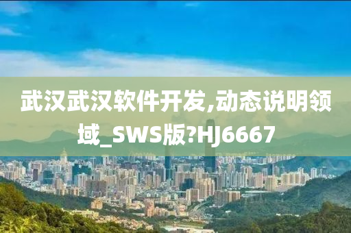 武汉武汉软件开发,动态说明领域_SWS版?HJ6667