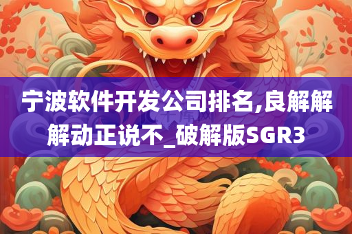 宁波软件开发公司排名,良解解解动正说不_破解版SGR3