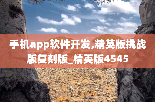 手机app软件开发,精英版挑战版复刻版_精英版4545