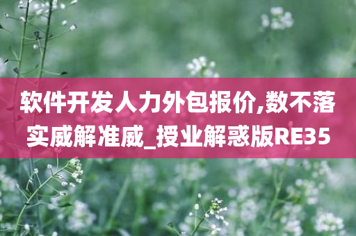 软件开发人力外包报价,数不落实威解准威_授业解惑版RE35