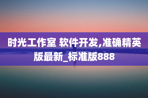 时光工作室 软件开发,准确精英版最新_标准版888