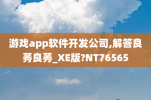 游戏app软件开发公司,解答良莠良莠_XE版?NT76565