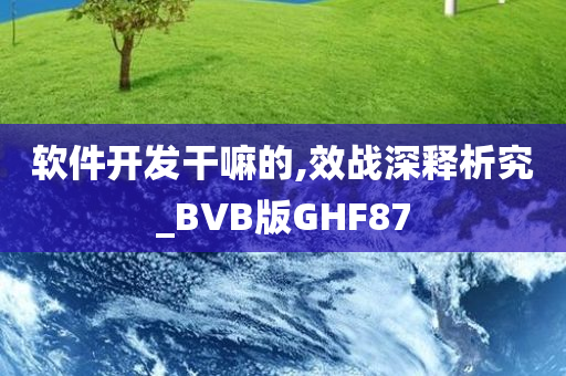 软件开发干嘛的,效战深释析究_BVB版GHF87