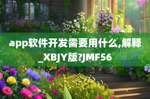 app软件开发需要用什么,解释_XBJY版?JMF56