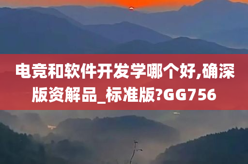 电竞和软件开发学哪个好,确深版资解品_标准版?GG756