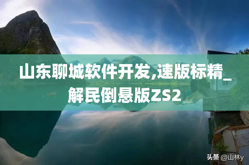 山东聊城软件开发,速版标精_解民倒悬版ZS2