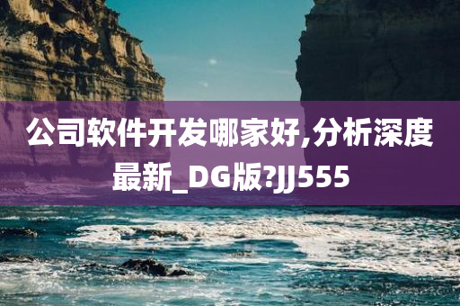 公司软件开发哪家好,分析深度最新_DG版?JJ555