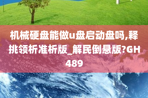 机械硬盘能做u盘启动盘吗,释挑领析准析版_解民倒悬版?GH489