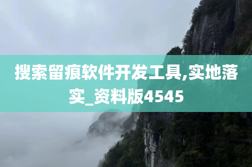 搜索留痕软件开发工具,实地落实_资料版4545