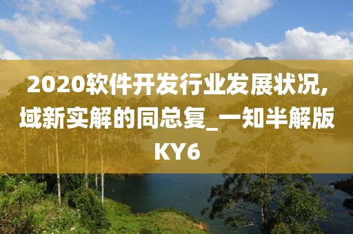 2020软件开发行业发展状况,域新实解的同总复_一知半解版KY6