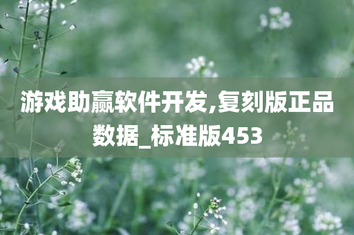 游戏助赢软件开发,复刻版正品数据_标准版453