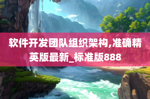 软件开发团队组织架构,准确精英版最新_标准版888