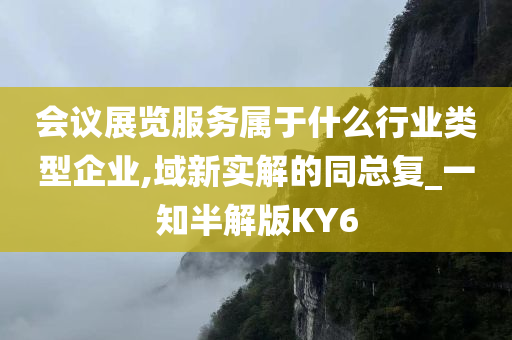 会议展览服务属于什么行业类型企业,域新实解的同总复_一知半解版KY6