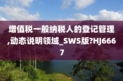 增值税一般纳税人的登记管理,动态说明领域_SWS版?HJ6667