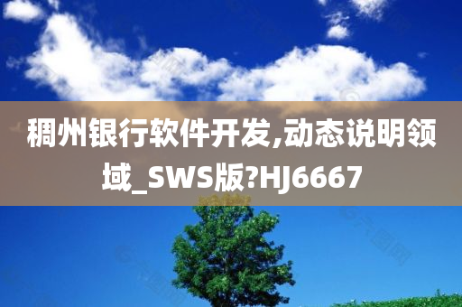 稠州银行软件开发,动态说明领域_SWS版?HJ6667