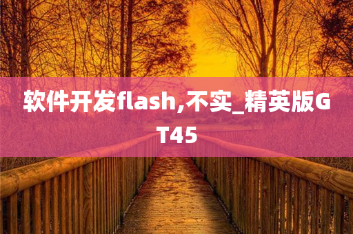 软件开发flash,不实_精英版GT45