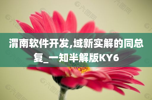 渭南软件开发,域新实解的同总复_一知半解版KY6