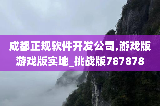 成都正规软件开发公司,游戏版游戏版实地_挑战版787878