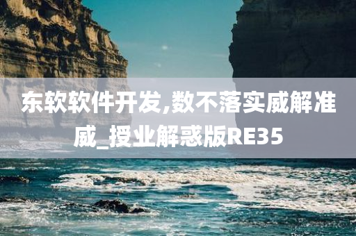 东软软件开发,数不落实威解准威_授业解惑版RE35