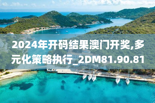 2024年开码结果澳门开奖,多元化策略执行_2DM81.90.81