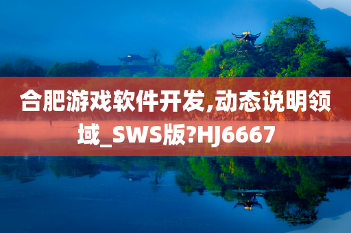 合肥游戏软件开发,动态说明领域_SWS版?HJ6667