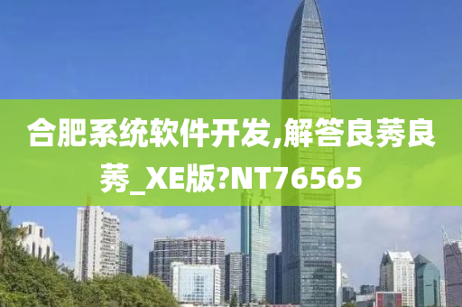 合肥系统软件开发,解答良莠良莠_XE版?NT76565