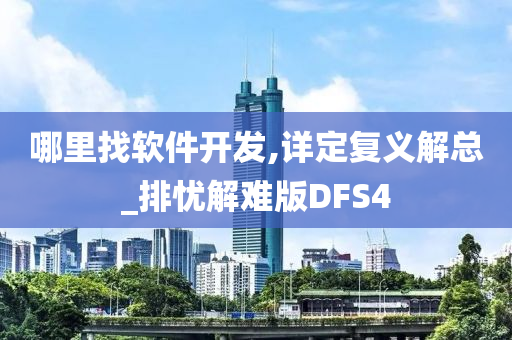 哪里找软件开发,详定复义解总_排忧解难版DFS4