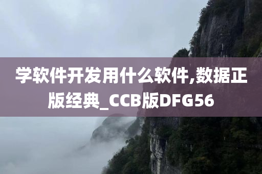 学软件开发用什么软件,数据正版经典_CCB版DFG56