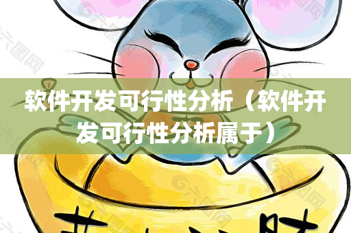 软件开发可行性分析（软件开发可行性分析属于）