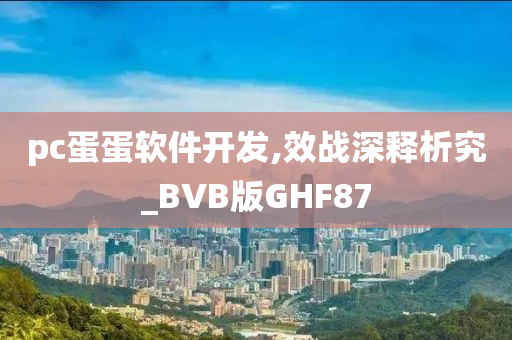 pc蛋蛋软件开发,效战深释析究_BVB版GHF87