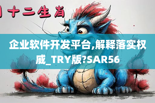 企业软件开发平台,解释落实权威_TRY版?SAR56