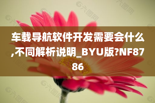 车载导航软件开发需要会什么,不同解析说明_BYU版?NF8786