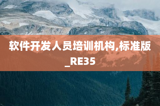 软件开发人员培训机构,标准版_RE35