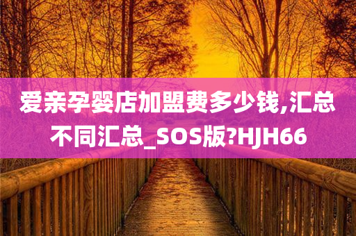 爱亲孕婴店加盟费多少钱,汇总不同汇总_SOS版?HJH66