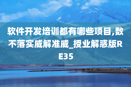 软件开发培训都有哪些项目,数不落实威解准威_授业解惑版RE35