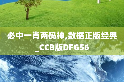 必中一肖两码神,数据正版经典_CCB版DFG56