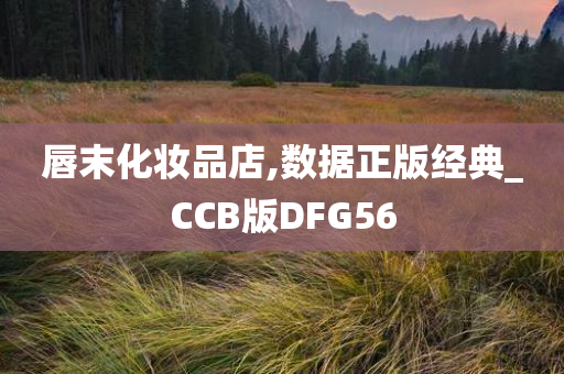 唇末化妆品店,数据正版经典_CCB版DFG56