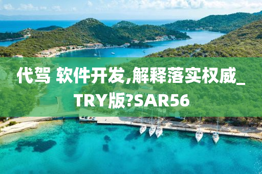 代驾 软件开发,解释落实权威_TRY版?SAR56