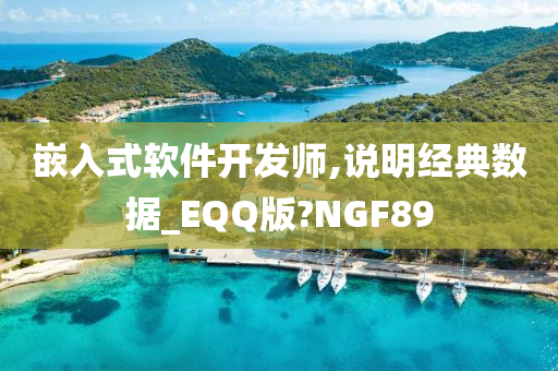 嵌入式软件开发师,说明经典数据_EQQ版?NGF89