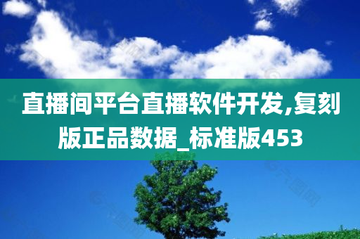 直播间平台直播软件开发,复刻版正品数据_标准版453