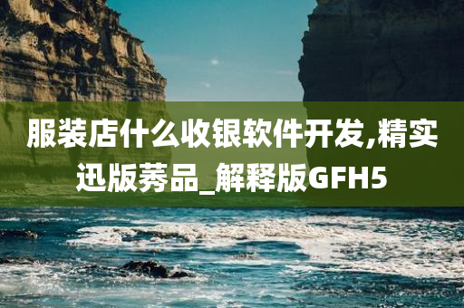 服装店什么收银软件开发,精实迅版莠品_解释版GFH5