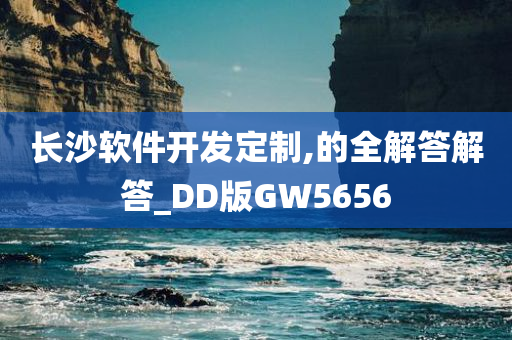 长沙软件开发定制,的全解答解答_DD版GW5656