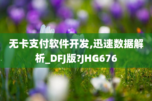 无卡支付软件开发,迅速数据解析_DFJ版?JHG676