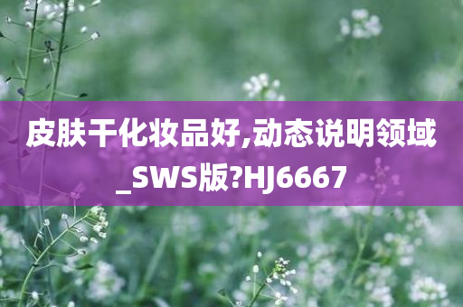 皮肤干化妆品好,动态说明领域_SWS版?HJ6667