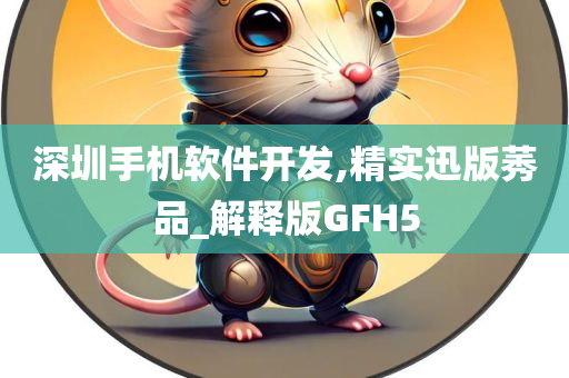 深圳手机软件开发,精实迅版莠品_解释版GFH5