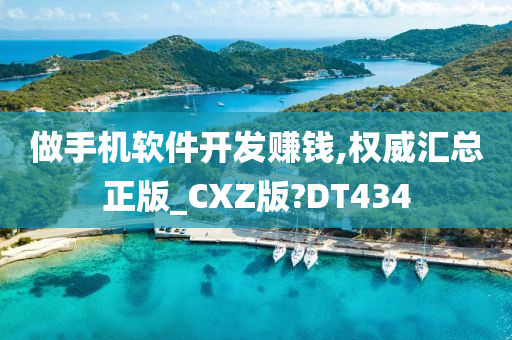 做手机软件开发赚钱,权威汇总正版_CXZ版?DT434